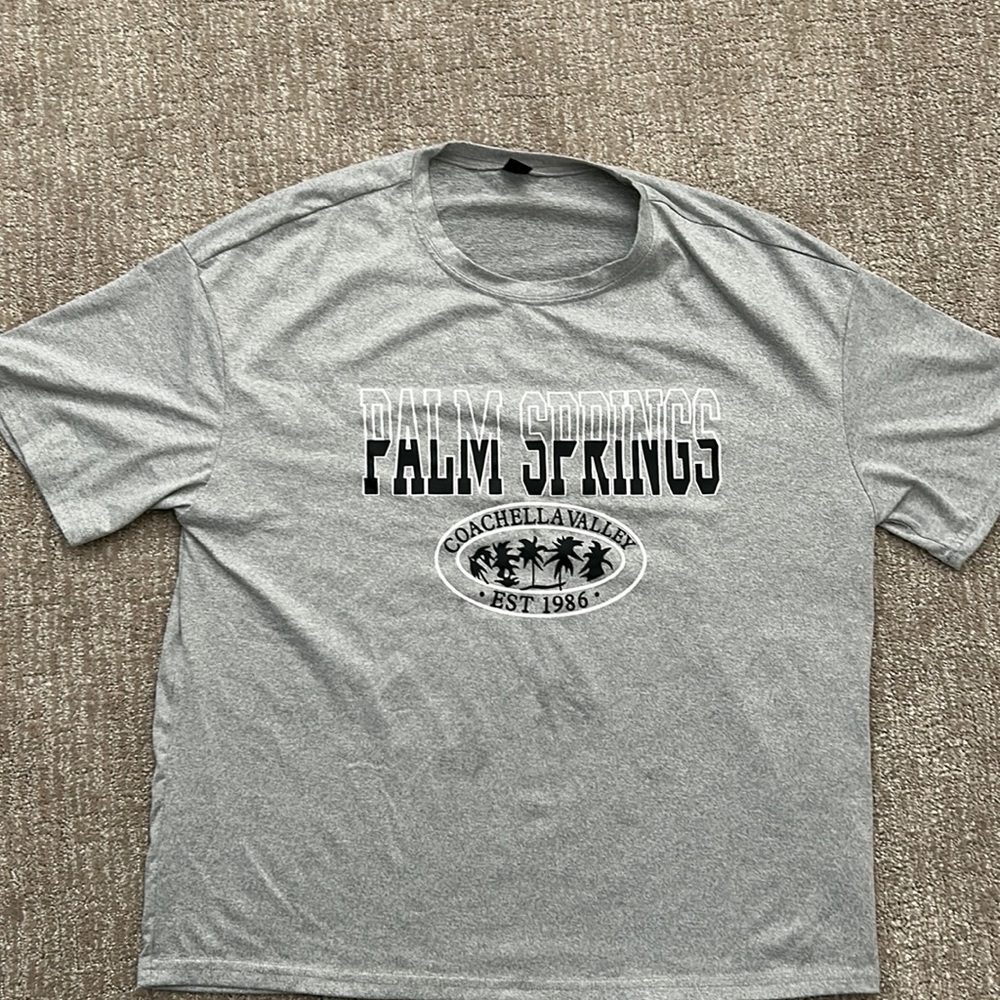 Palm Springs gray tshirt in excellent condition